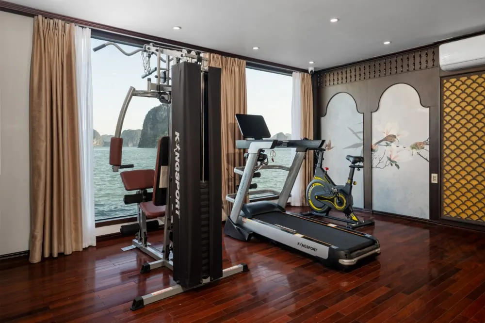 A fitness room on a boat with exercise equipment and windows showing karst limestone formations and water outside.