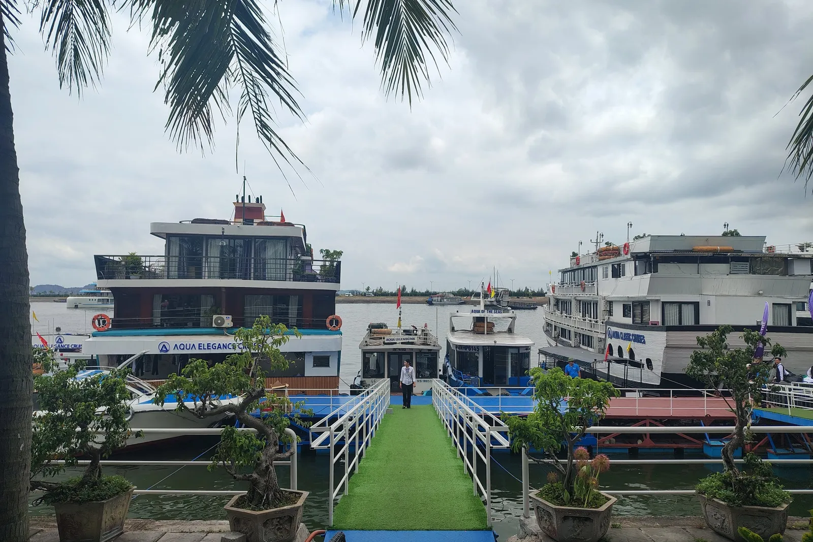 A green carpeted dock with potted plants leads to multiple cruise boats moored at a harbor, with one boat displaying 'AQUA ELEGANCE' on its hull.