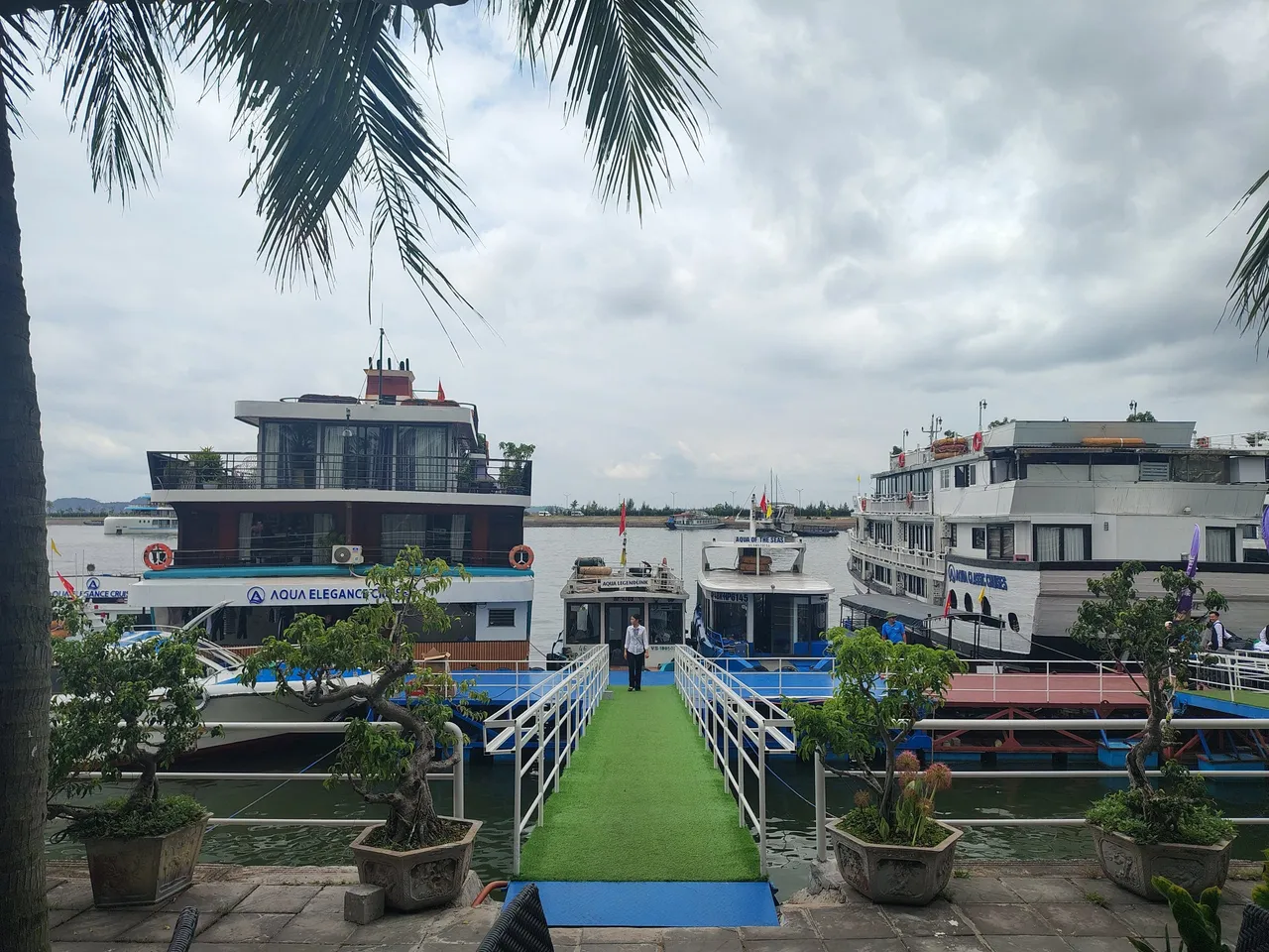 A green carpeted dock with potted plants leads to multiple cruise boats moored at a harbor, with one boat displaying 'AQUA ELEGANCE' on its hull.