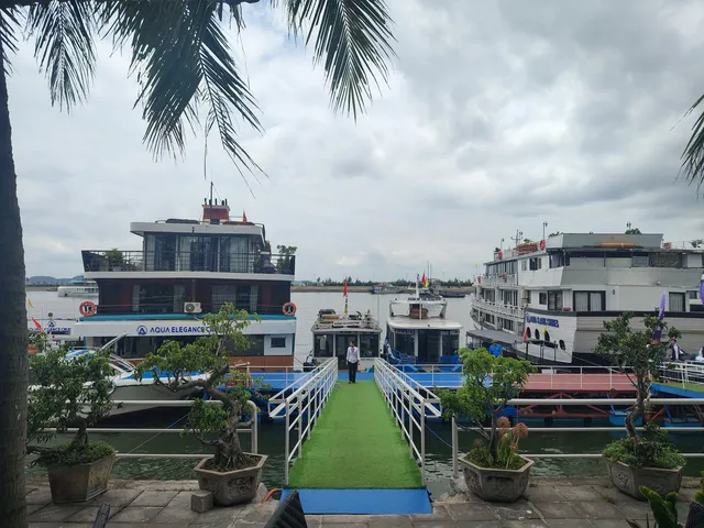 A green carpeted dock with potted plants leads to multiple cruise boats moored at a harbor, with one boat displaying 'AQUA ELEGANCE' on its hull.