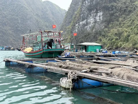 A green and red fishing boat with Vietnamese flags is moored next to floating fish farm platforms surrounded by limestone karst mountains.