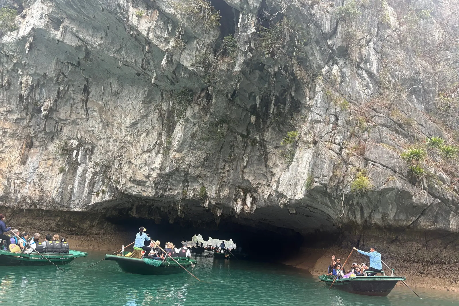 Small rowing boats carrying tourists in life jackets move on green water toward a cave opening under a large limestone cliff.
