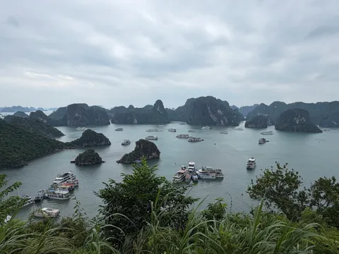 An elevated viewpoint over a bay of green water with many tour boats anchored among limestone karst islands under an overcast sky, with foliage in the foreground.