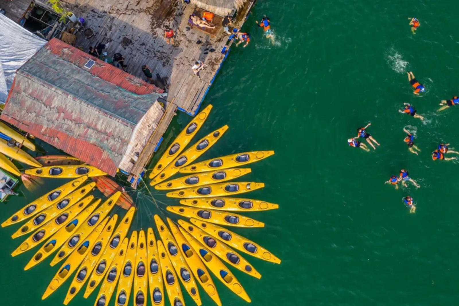 Aerial view of yellow kayaks fanned out beside a floating wooden platform with a rusty roofed hut, while swimmers in life vests float in green water.