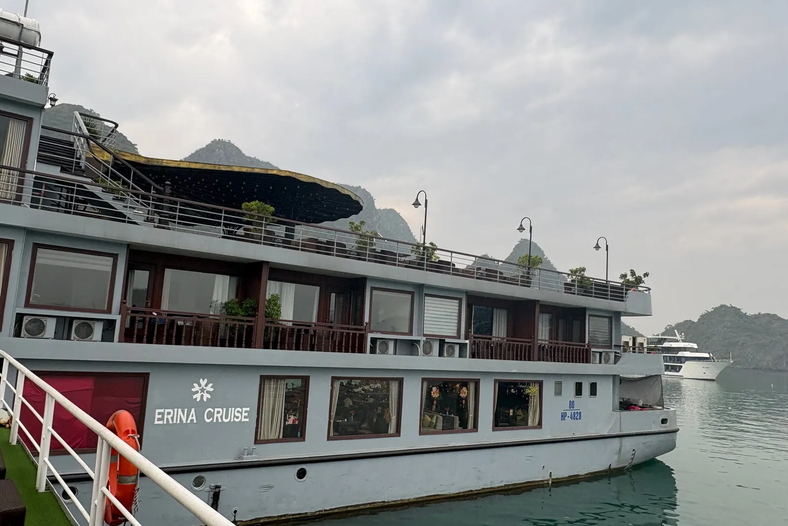 A grey multi-deck cruise boat with 'Erina Cruise' painted on its hull sits on green water beside limestone karst hills, photographed from another vessel's railing, with a white ship in the distance under an overcast sky.