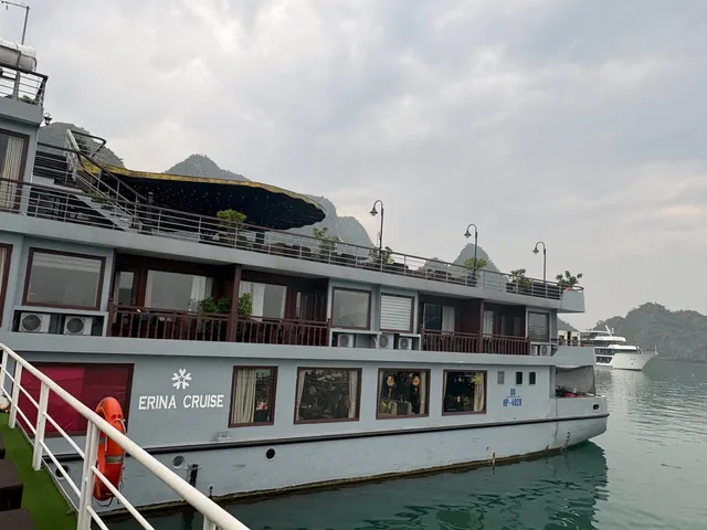 A grey multi-deck cruise boat with 'Erina Cruise' painted on its hull sits on green water beside limestone karst hills, photographed from another vessel's railing, with a white ship in the distance under an overcast sky.