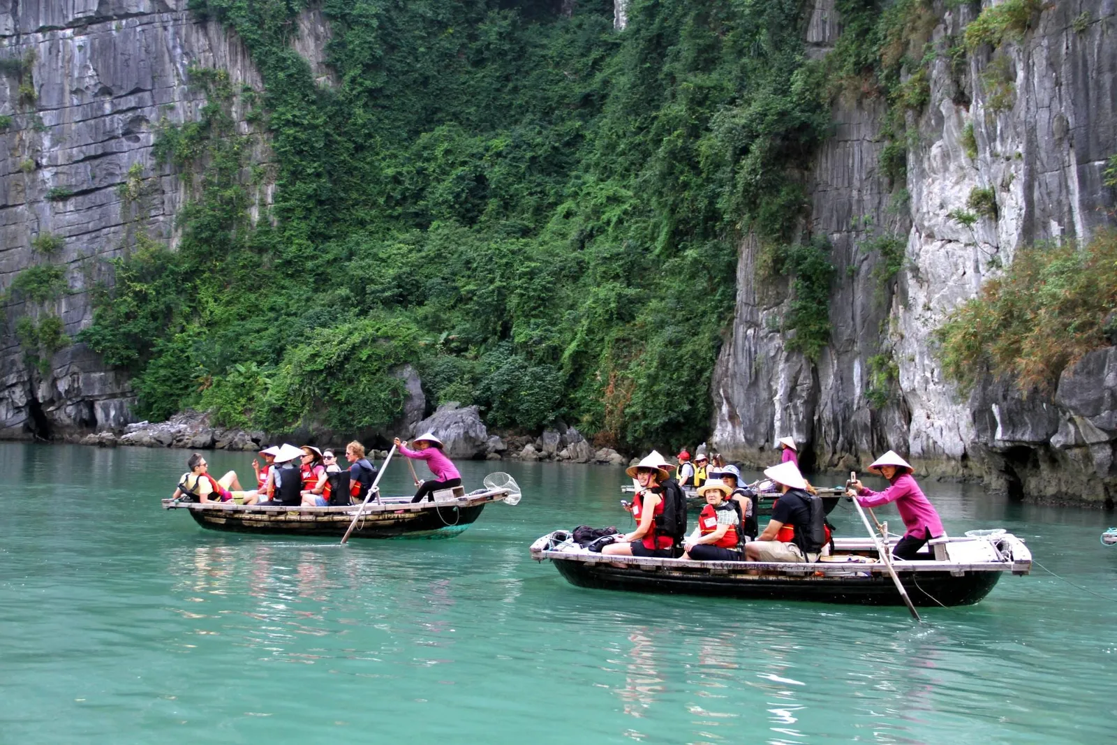 Tourists in life jackets ride small rowing boats paddled by women in pink tops and conical hats across green water beside a vegetation-covered limestone cliff.