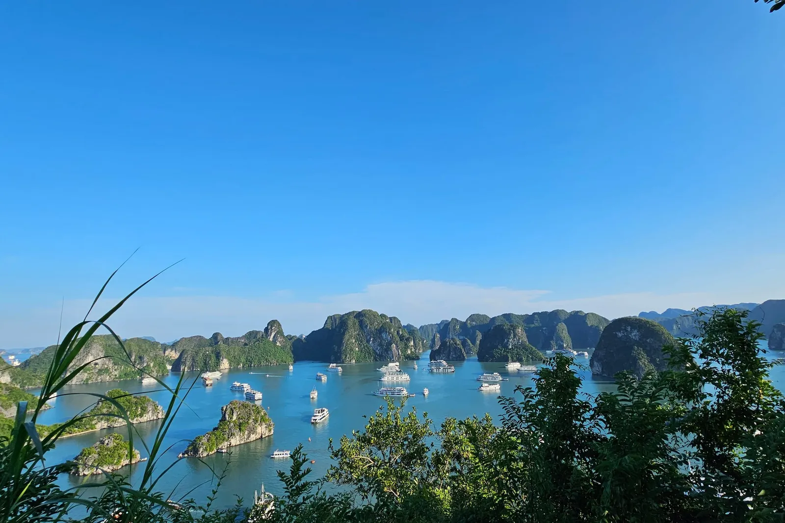 An elevated viewpoint over a blue bay dotted with many white tour boats among green limestone karst islands, framed by foliage in the foreground under a clear blue sky.