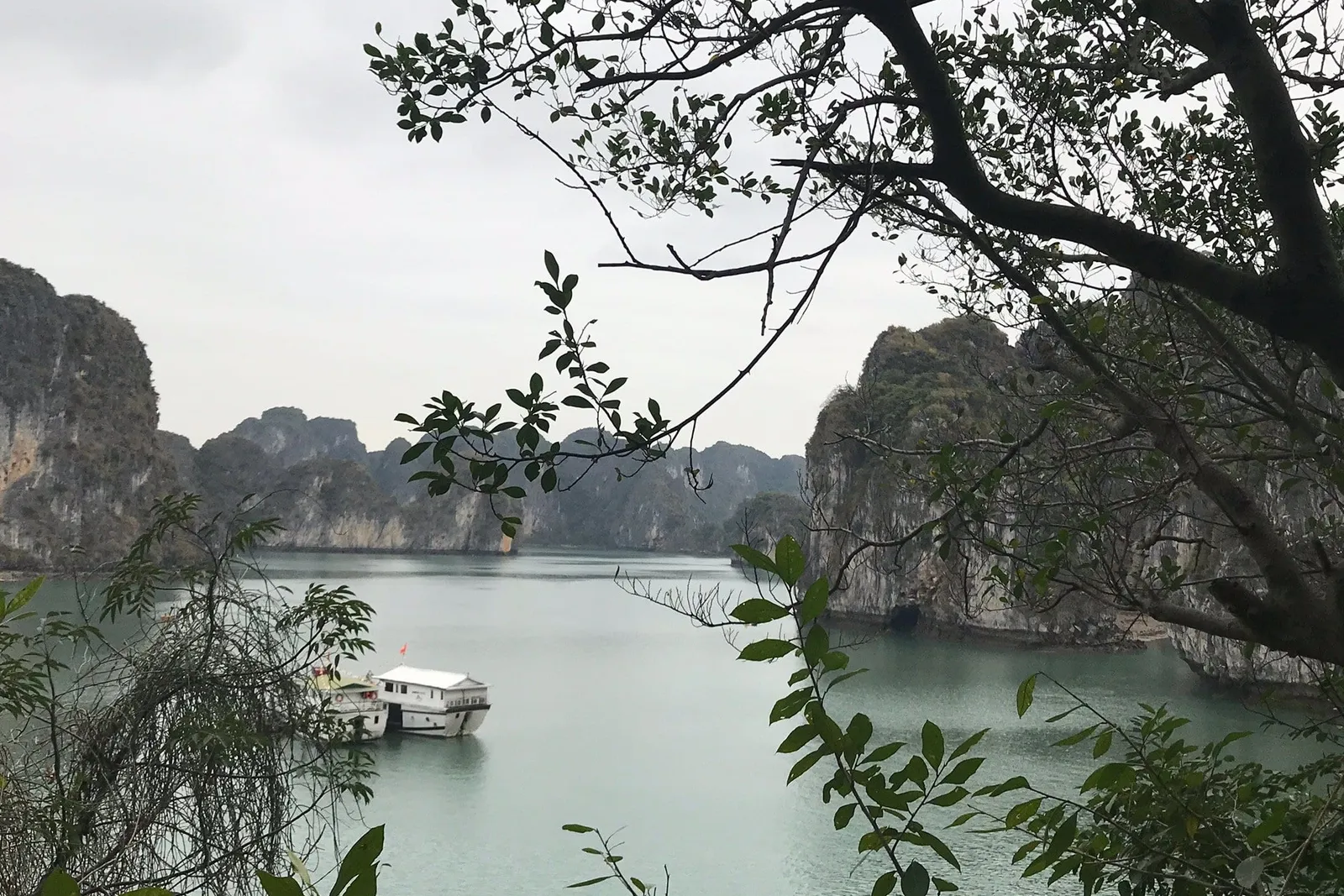 A view through tree branches and leaves of a calm green bay with limestone karst cliffs and a small white boat anchored in the distance under an overcast sky.